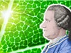 Jan Ingenhousz: Người phát hiện quá trình quang hợp